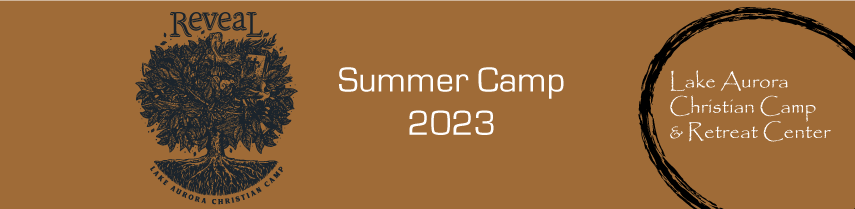 Upcoming Summer Camp
